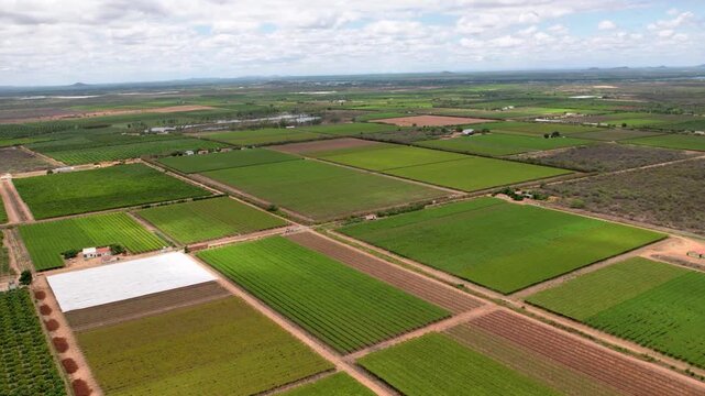 Time-lapse aerial view of agricultural fields and irrigated farmland in Petrolina, Pernambuco, Brazil