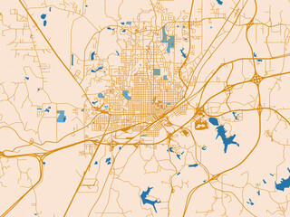 Fototapeta premium City street layout of Meridian, Mississippi