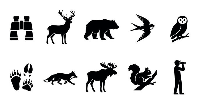 A collection of black silhouette icons depicts various wildlife animals, binoculars, and paw prints against a white background, ideal for nature and outdoor themes.