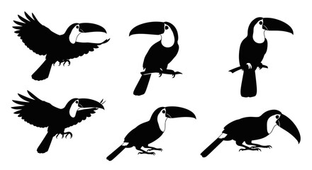 Obraz premium Toucan Silhouettes Collection: Flying, Perching, and Standing Exotic Birds