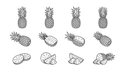 Pineapple fruit line art set with whole half-peeled and sliced sketches minimal black and white vector for coloring book © Nirob