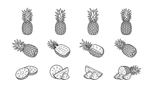 Pineapple fruit line art set with whole half-peeled and sliced sketches minimal black and white vector for coloring book