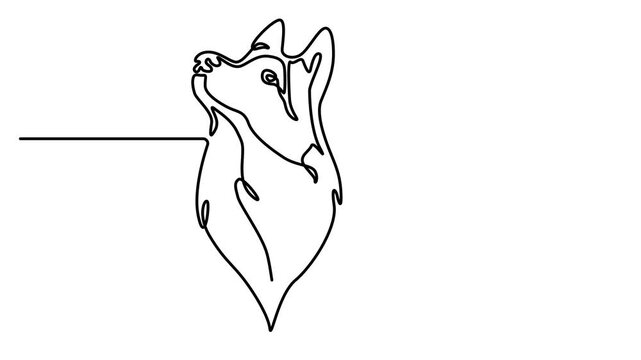Self drawing simple animation of single continuous one line drawing Siberian Husky. Dog head, Husky head, happy dachshund simple linear drawing video. Full length motion. 4k video