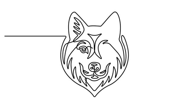Self drawing simple animation of single continuous one line drawing Siberian Husky. Dog head, Husky head, happy dachshund simple linear drawing video. Full length motion. 4k video