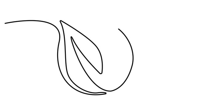 Leaf with Earth globe continuous line drawn animation. Animated linear world map with plant. Save Planet concept video. Full length one line animation. 4k video