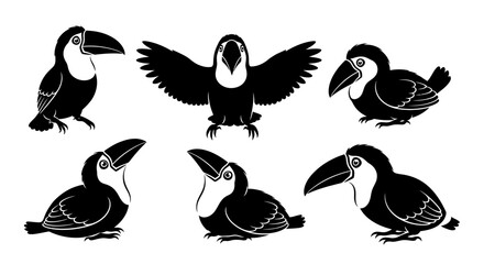Obraz premium Set of Toucan Silhouettes in Various Poses, Vector Graphics