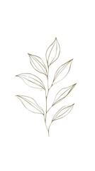 Fototapeta premium Golden line drawing of a plant with multiple leaves on stem