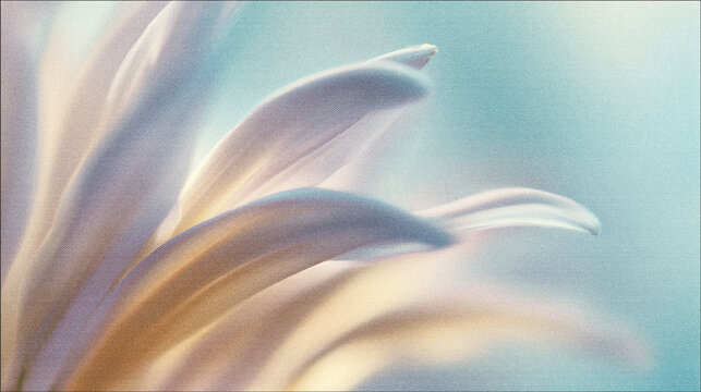 Soft blurred Y2K peach flower vintage background. Delicate bloom in warm pastel tones with dreamy light leak and soft focus creating a calm, romantic and aesthetic atmosphere.