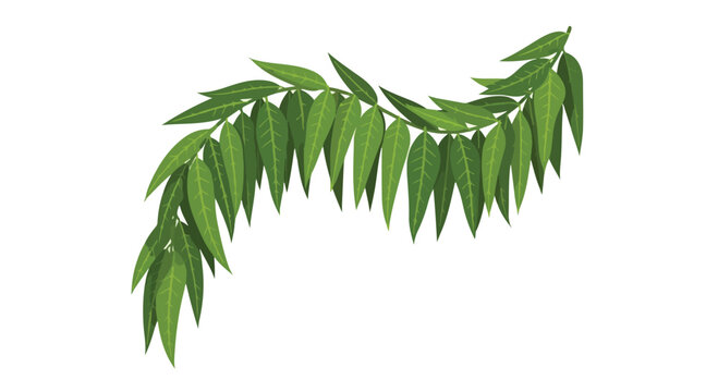 A lush green leafy branch with pointed leaves, predominantly green in color, against a clean white background, symbolizing Tamil New Year festivities.