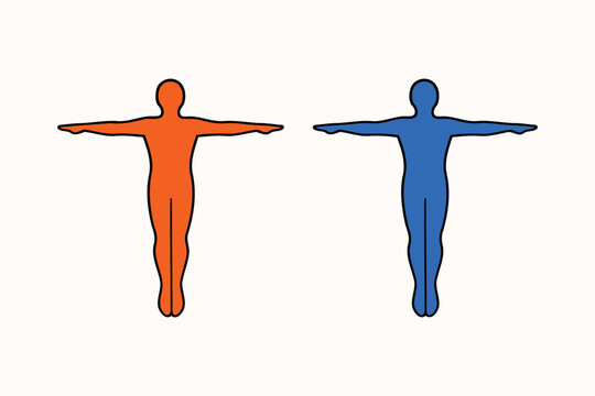 Two stylized human figures in a t-pose position colored in vibrant orange and bright blue shades Vector