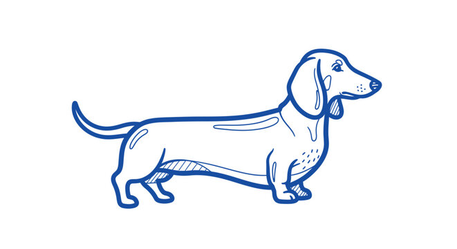 A long-bodied Dachshund dog illustrated in minimalist doodle style, thick blue outline strokes with subtle artistic line details inside, smooth continuous curves, clean vector illustration, modern fla