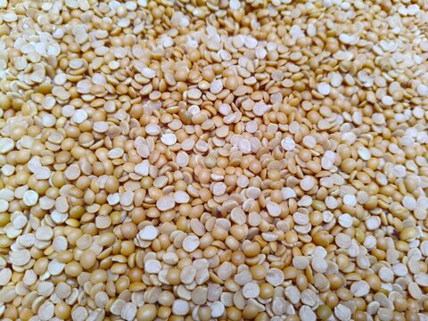 Close up shot of  Arhar or Toor dal or Split Pigeon Pea or Yellow lentils.