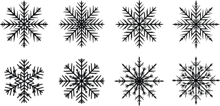 Snowflake illustration collection, geometric winter design, seasonal symmetry art, icy crystal pattern concept, decorative holiday symbol, cold weather graphic, flat vector illustration