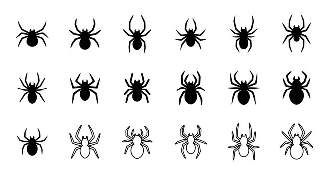 Spider Icons Set: Black Silhouettes of Various Spiders on White Background
