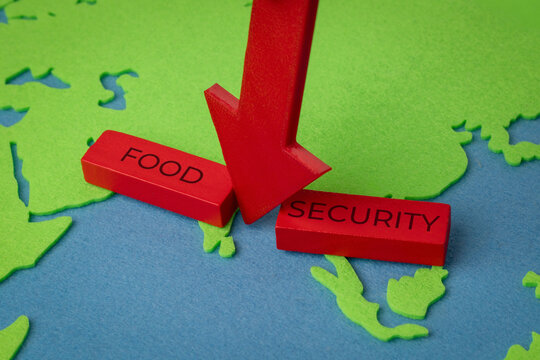 A red downward arrow breaks apart wooden blocks reading FOOD and SECURITY over a world map. Global food crises, agricultural supply chain disruption concept.