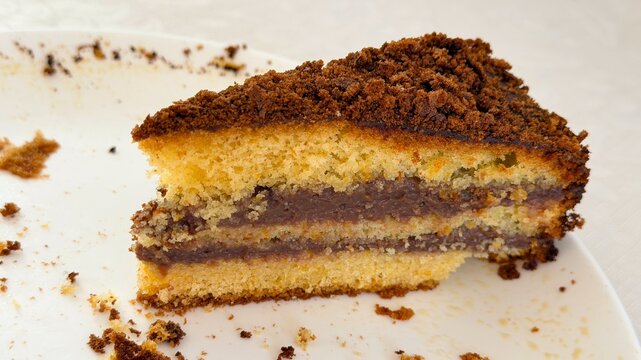 Close-up shot of a last piece of multi-layered gluten-free and lactose-free sponge cake with chocolate cream on a white plate