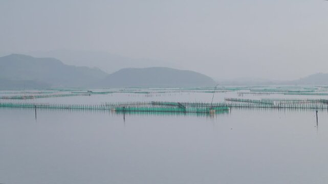 Bottom-mounted seine nets in tidal shallow water in the Gulf of Tonkin at the mouth of the river. Fishing and crabbing. There is an aquaculture