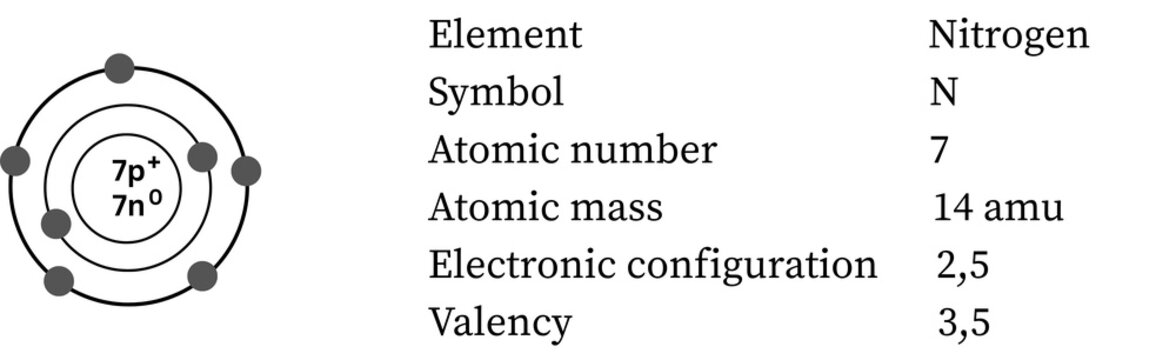 Nitrogen atom &mdash; diatomic gas, versatile valence