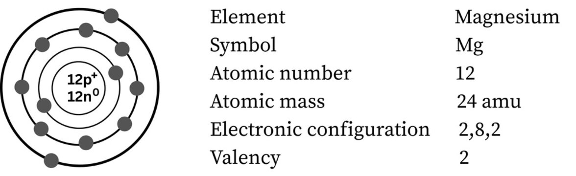 Magnesium atom &mdash; alkaline earth metal, 2 valence electrons