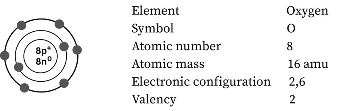 Oxygen atom &mdash; diatomic oxidizer, 6 valence electrons