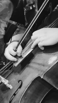 Cellist in Orchestra.Black and White Video