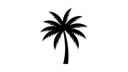 Obraz premium Black silhouette of a palm tree on white background