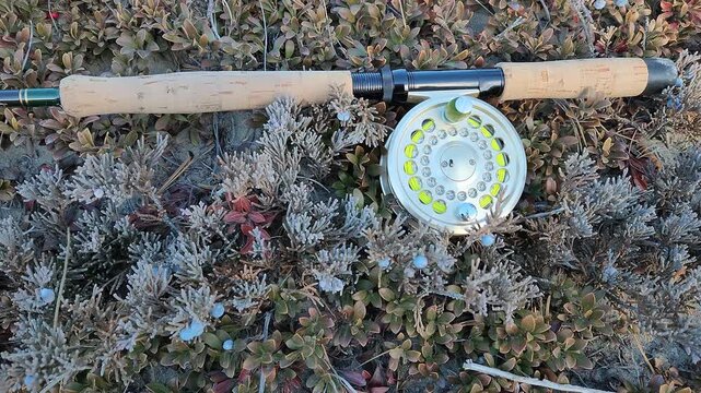 Fly Rod and Reel on Low Vegetation by River, Close-Up with Wind Moving Vegetation. Gentle wind moves the surrounding foliage, creating a calm and natural outdoor scene.