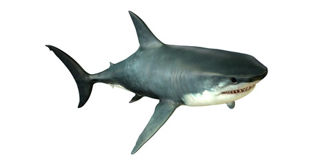 Png Isolated great white shark underwater with mouth open, showing teeth for attack or predation