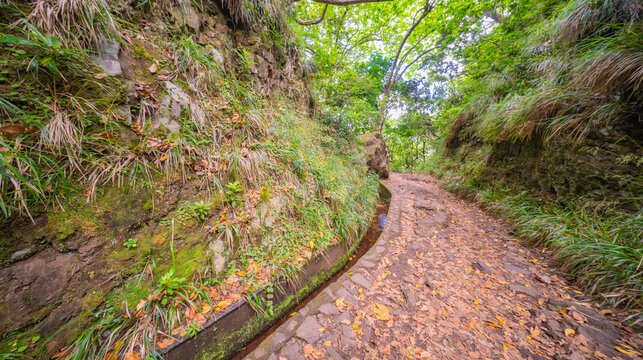 Vereda dos Balcoes PR11 Mountain Footpath, Irrigation Channel Maintenance Trail, Madeira, Portugal, Europe