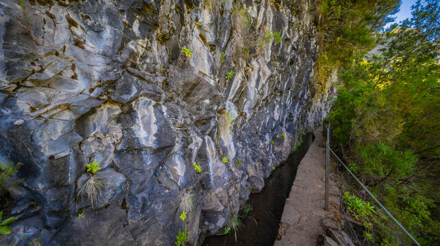 Levada do Caldeirao Verde, Parque Forestal Das Queimadas, Madeira, Portugal, Europe
