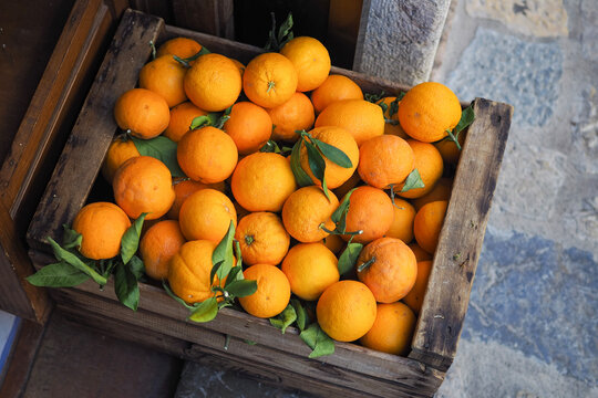 Caja de naranjas ecol&oacute;gicas en entorno natural sostenible