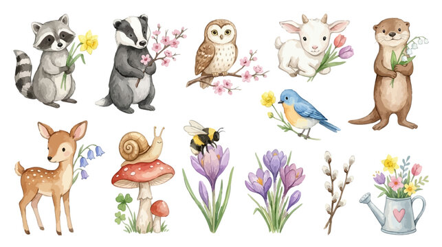 Cute woodland animals and spring floral elements set with raccoon, badger, deer, hedgehog, skunk, owl and flowers in watercolor style. Collection of Vector illustrations. Perfect for invitation, card