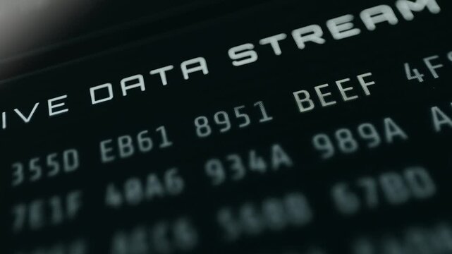 Hex Data Stream, raw binary feed with highlighted special values cycling every 200ms