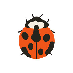 Obraz premium Cute vector spring insect. Red spotted ladybug beetle element. Nature illustration for stickers, scrapbooking and nursery decor