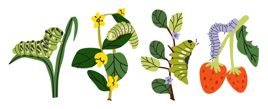 Set of cartoon green caterpillars on green leaves and branches. Vector cozy woodland illustrations scene in flat style. Nature, garden insects and biology education elements