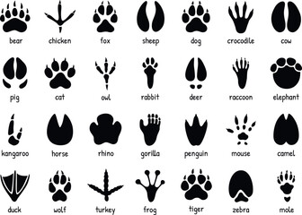 Animal footprints. Wild, domestic pet paw prints, feet and claws imprint. Cat, horse and bear, cow and deer, dog and duck, monkey silhouette foot stamps. Rabbit, bird and camel, chicken vector tracks. © Ukio.stock