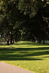 Obraz premium park in the park