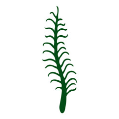 Fototapeta premium A minimalist vector illustration of a green plant with a simple design