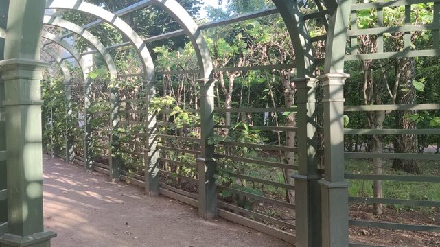Green arbor with arches and lattice structure in a sunny garden park, 4K resolution.