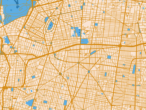 Cartographic street layout &mdash; Benito Juarez, Mexico