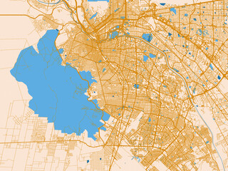 Fototapeta premium Graphic city map artwork of Ciudad Juarez, Mexico