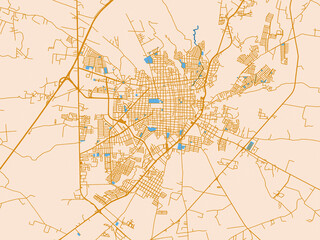 Fototapeta premium Tepatitlan de Morelos street network map — Mexico