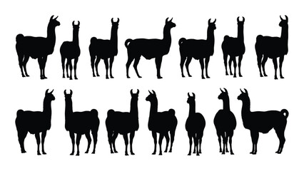Naklejka premium Silhouette illustration of a herd of llamas standing in two rows