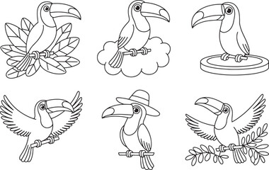 Obraz premium Diverse Toucan Outline Illustrations art bundle set