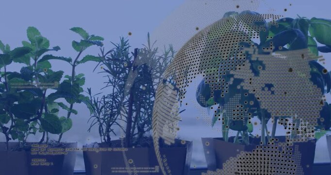 Tech overlay appearing right moving across pots occluding with globe nodes or code showing plant dat