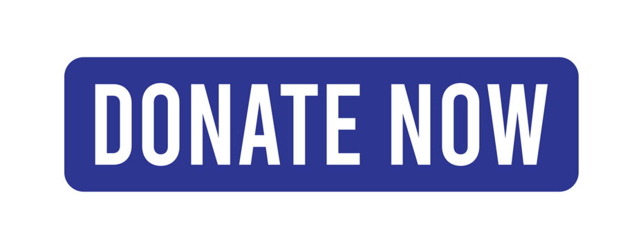 Blue donate now CTA button vector with pill shape modern UI web interface element