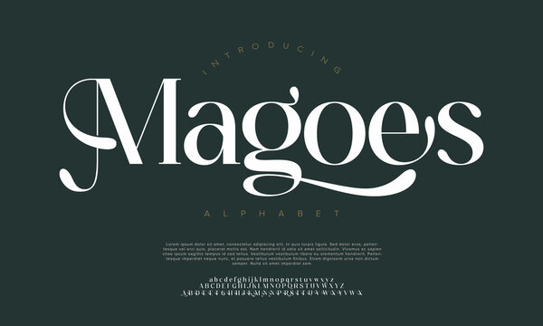 Elegant alphabet letters font and number. Classic Lettering Minimal Fashion Designs. Typography modern serif fonts regular decorative vintage concept. vector illustration 
