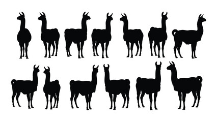 Naklejka premium Collection of llama silhouettes in various poses