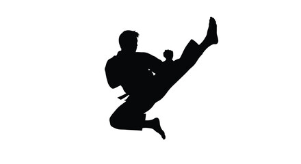 Obraz premium Martial artist performing a dynamic kick in a striking silhouette