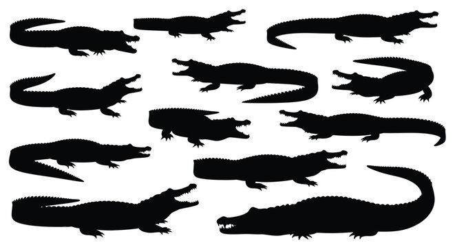 Multiple alligator silhouettes in various poses and orientations silhouette